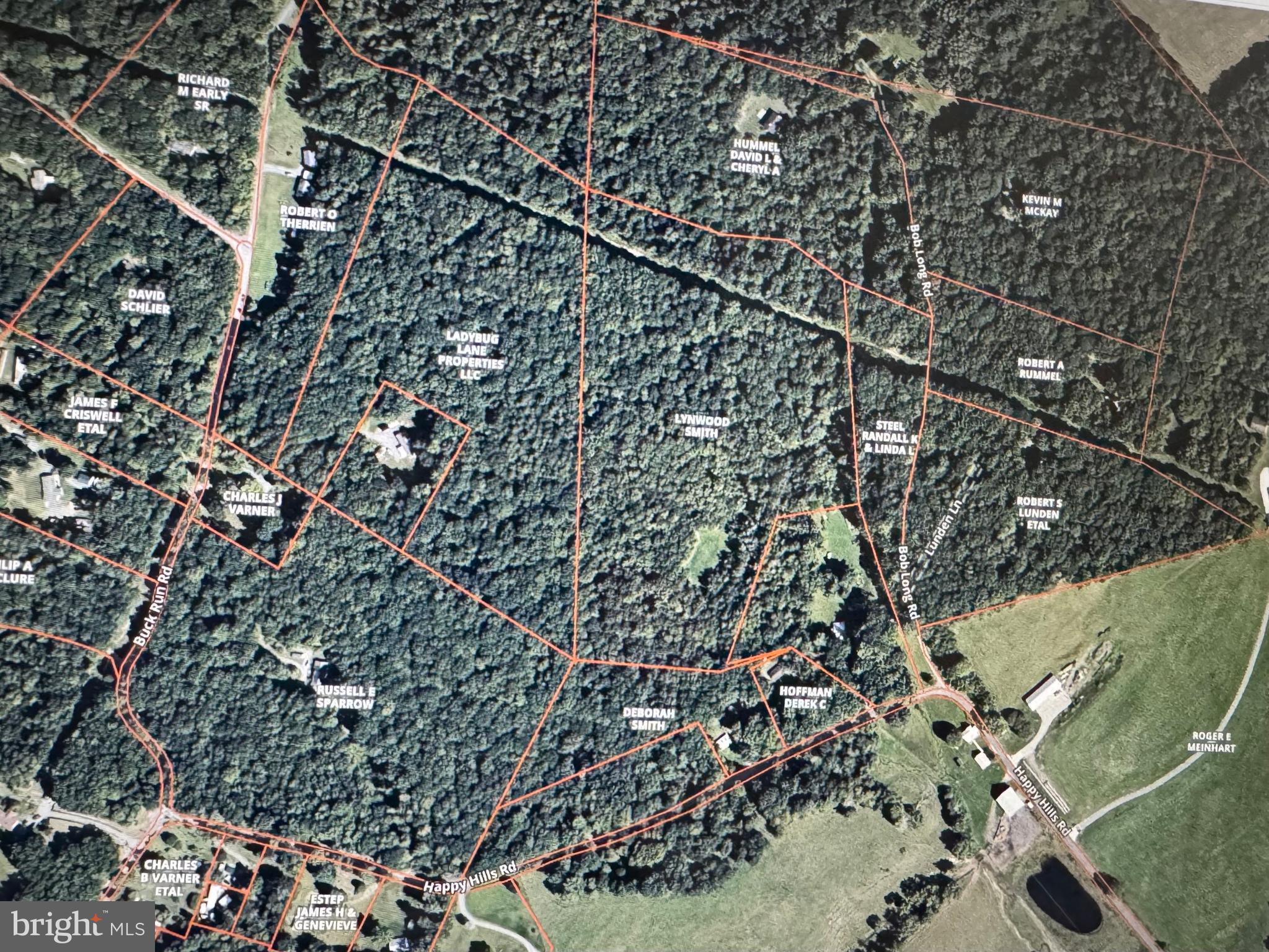 14742 Happy Hills Road Huntingdon, PA 16652 - Photo 46 of 48 a picture of a tree