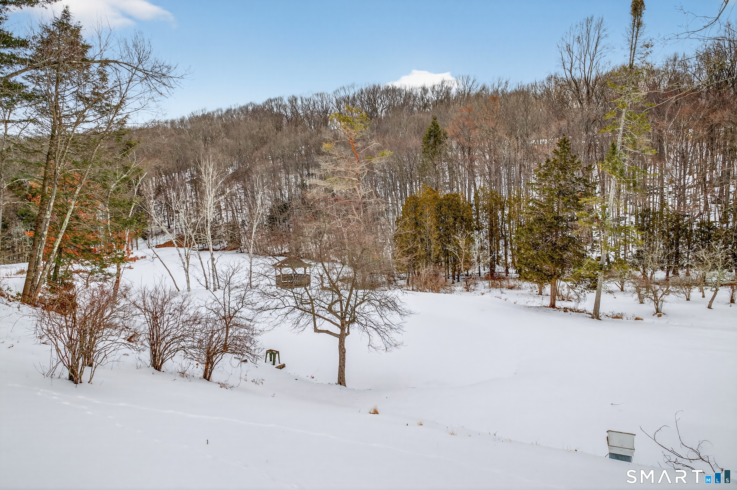 61 Edwards Road Bethany, CT 06524 - Photo 8 of 40 a view of outdoor space with trees