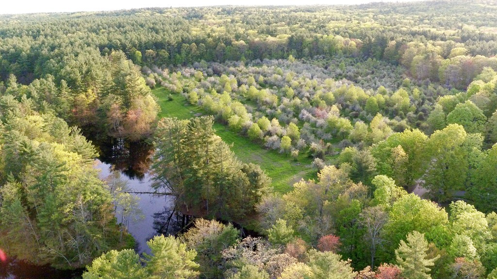 a view of lake