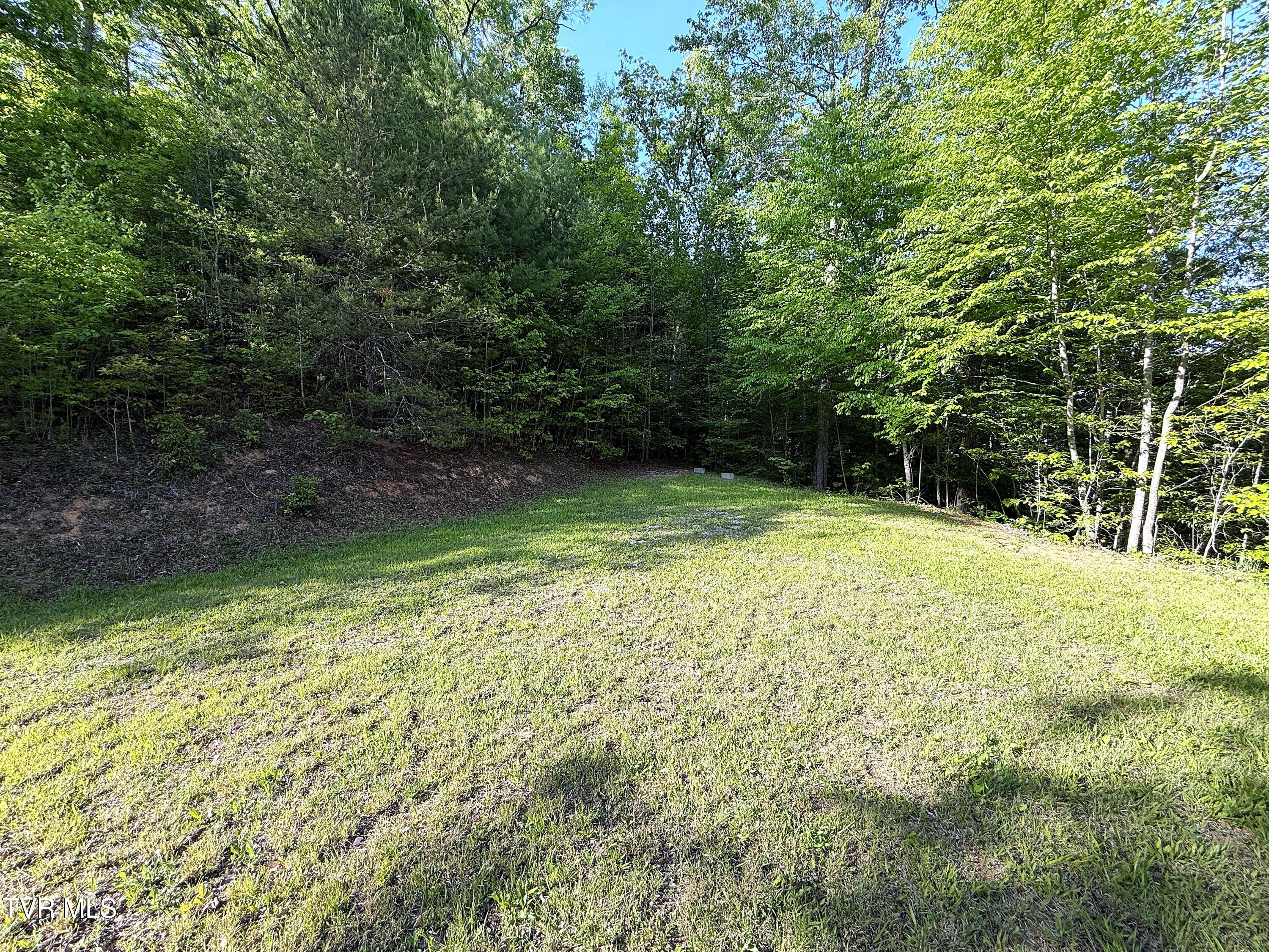 844 Ortagus Way Del Rio, TN 37727 - Photo 39 of 50 39