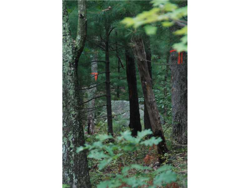 301 Tunk Hill Road Scituate, RI 02831 - Photo 5 of 7 Land.