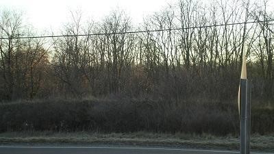 14111 Bird Road Byron, MI 48418 - Photo 1 of 1 20308676.JPG