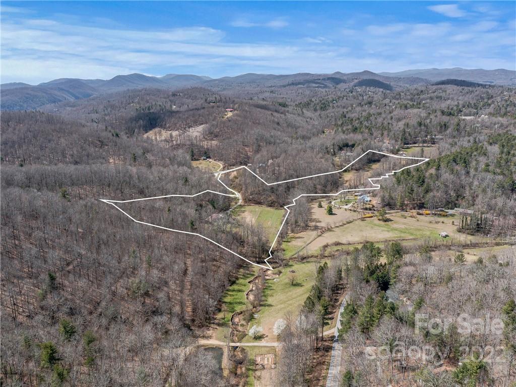 489 Thompson Road Saluda, NC 28773 - Photo 3 of 20 Gallery Image 3