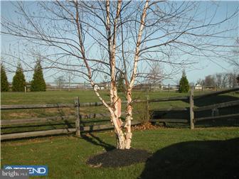 702 Ewing Road Cochranville, PA 19330 - Photo 12 of 12 View