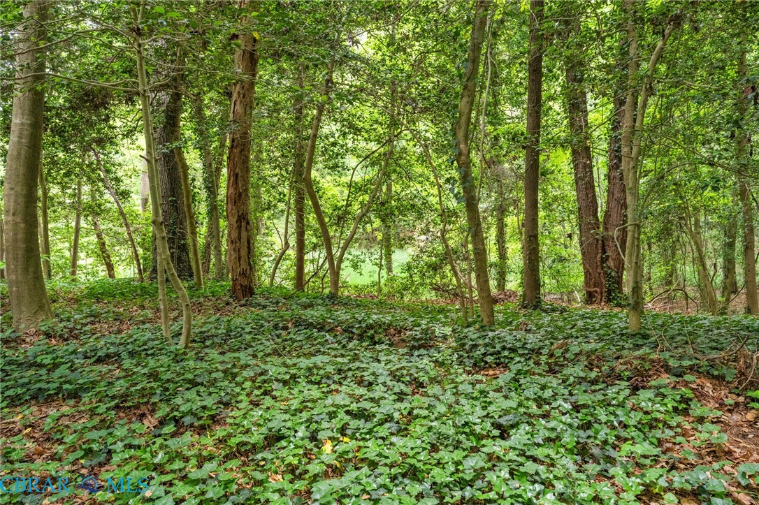 6657 Branch Road Hayes, VA 23072 - Photo 43 of 49 Gallery Image 43
