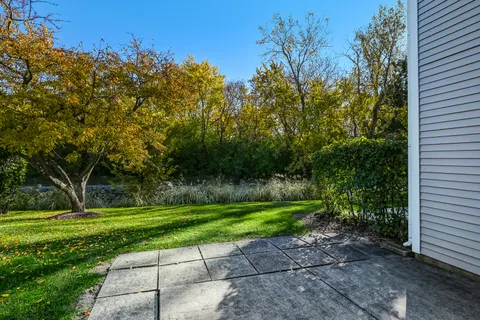 a view of a park with large trees