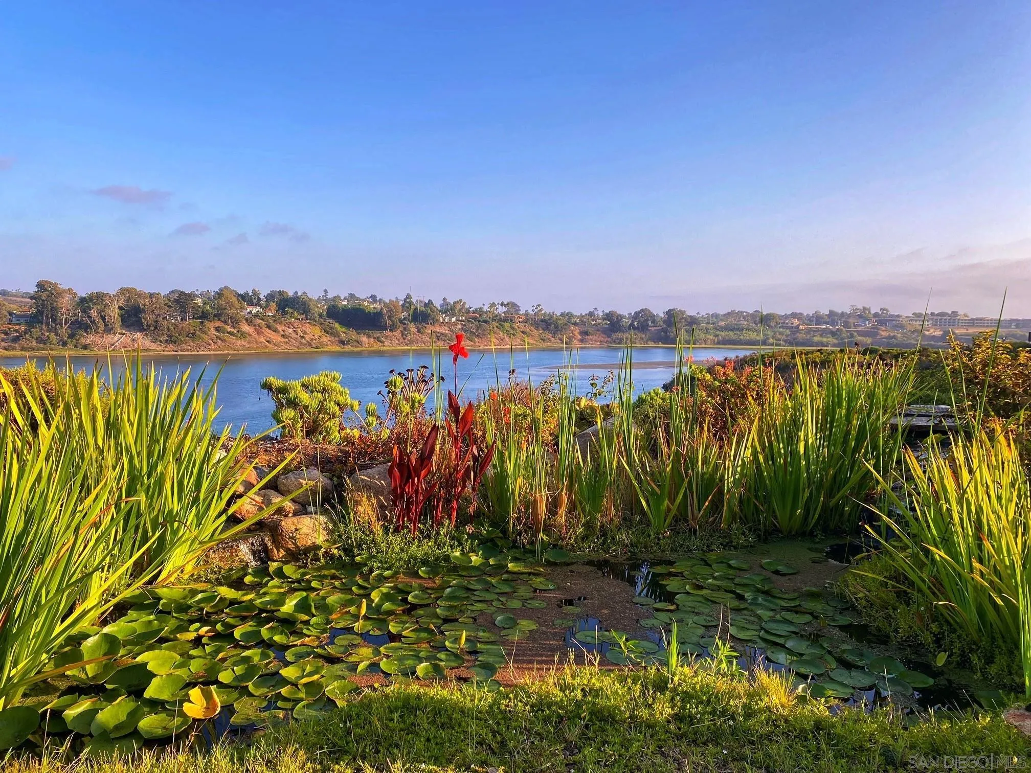 a view of a lake with a mountain in the background
