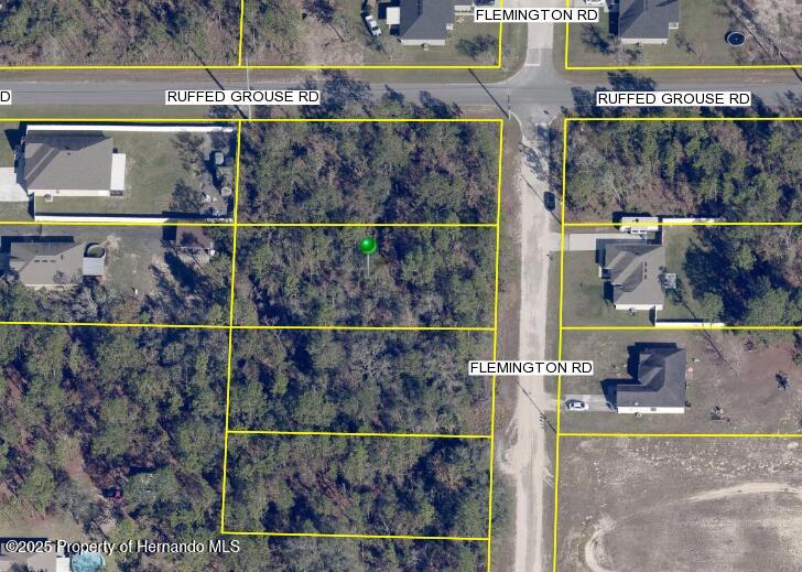 0 Flemington Road Weeki Wachee, FL 34614 - Photo 1 of 2