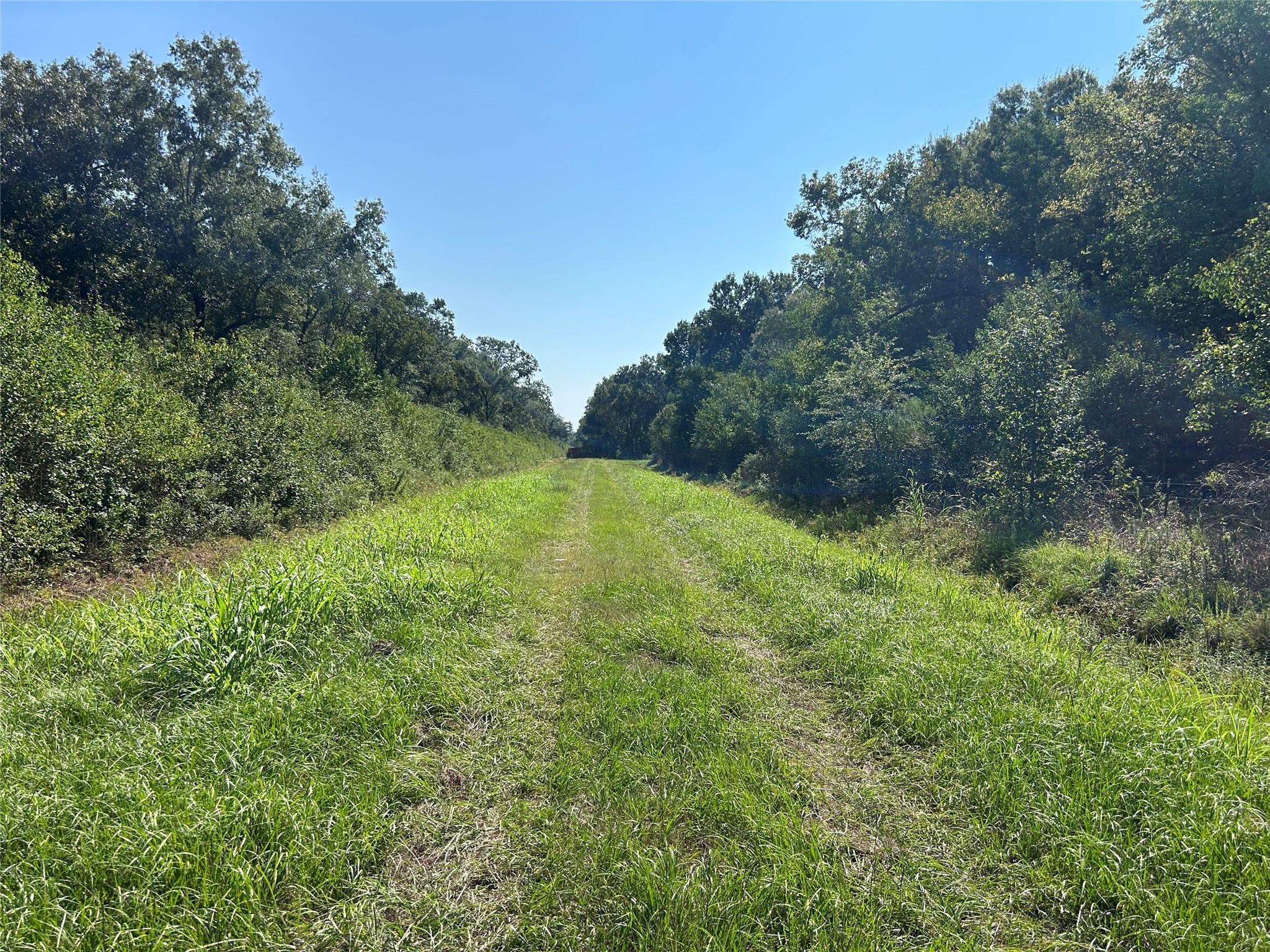 Na McGuire Road Liberty, TX 77575 - Photo 18 of 42