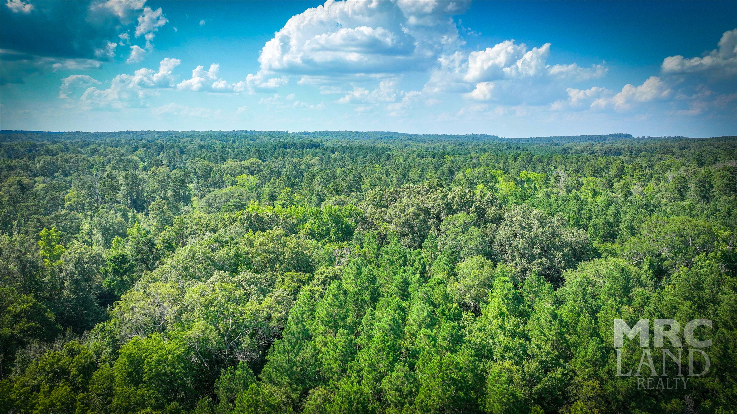 a view of a city with lush green forest