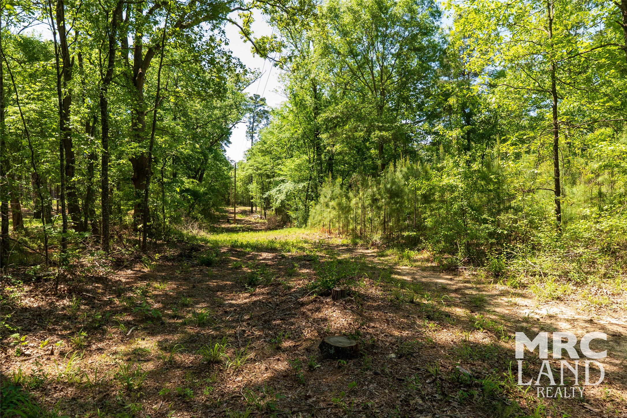 0 Linn Flat Road Garrison, TX 75946 - Photo 11 of 27 a view of outdoor space and a yard