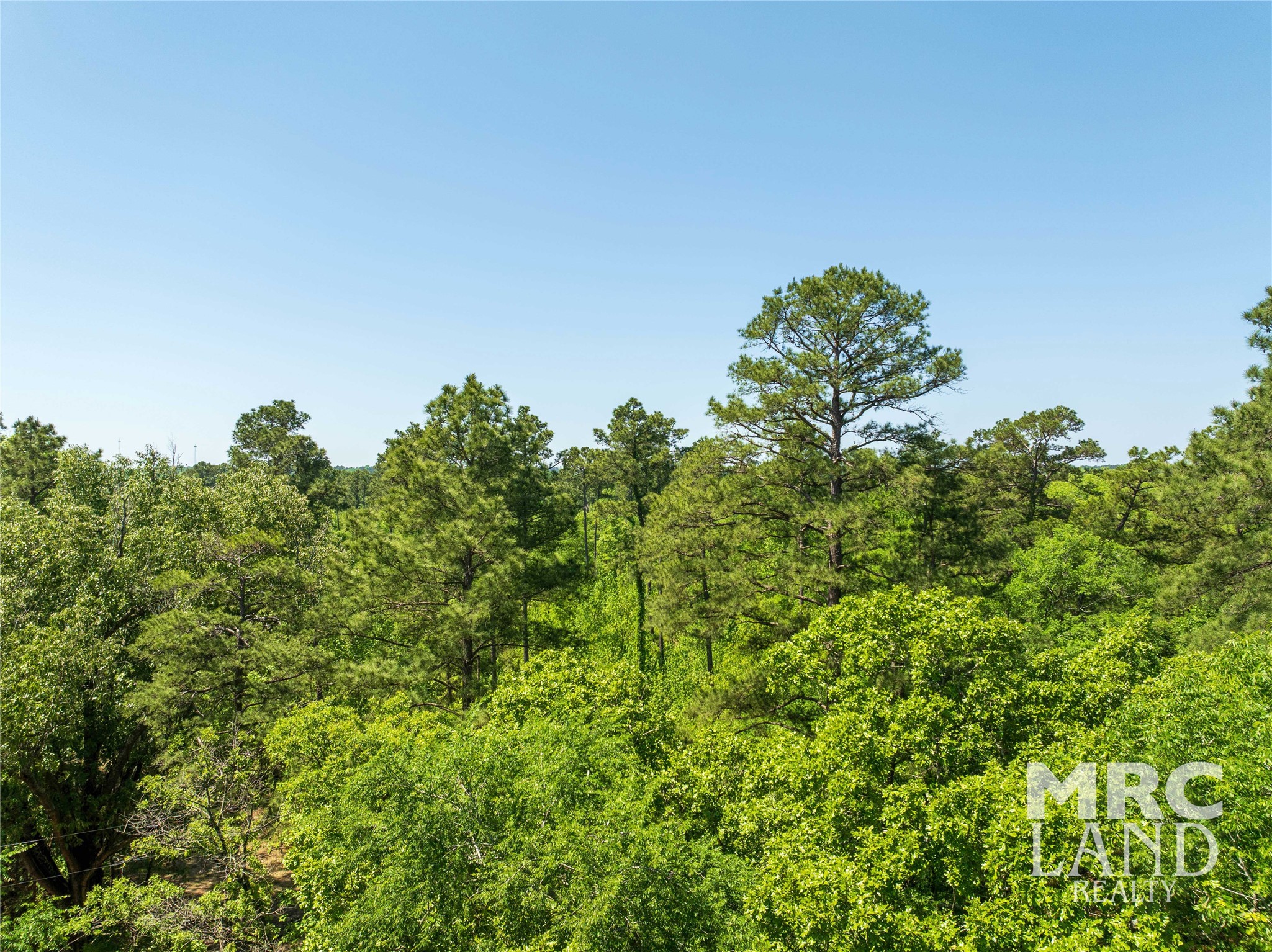 0 Linn Flat Road Garrison, TX 75946 - Photo 12 of 27 a backyard of a house with lots of green space and house