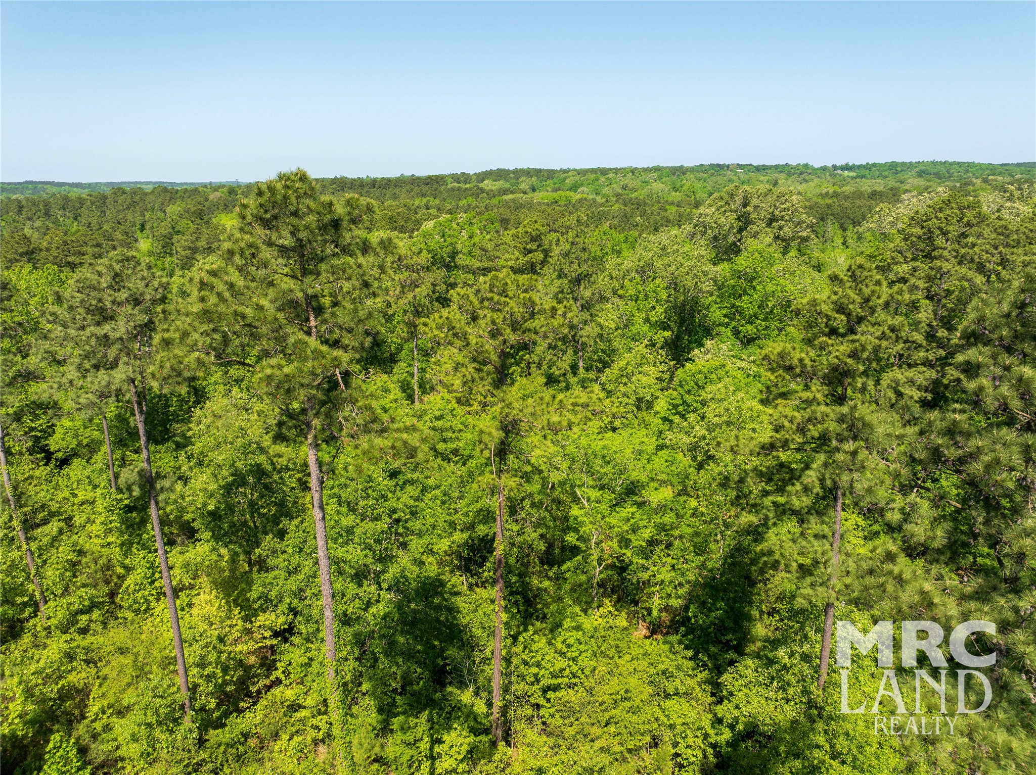 0 Linn Flat Road Garrison, TX 75946 - Photo 24 of 27 a view of a green field with lots of bushes