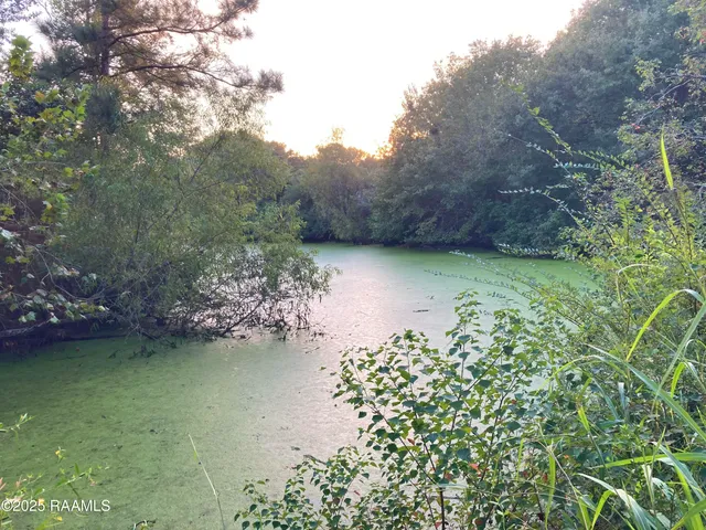 $205,000 | 2035 Schultz Road, Iota, LA 70543