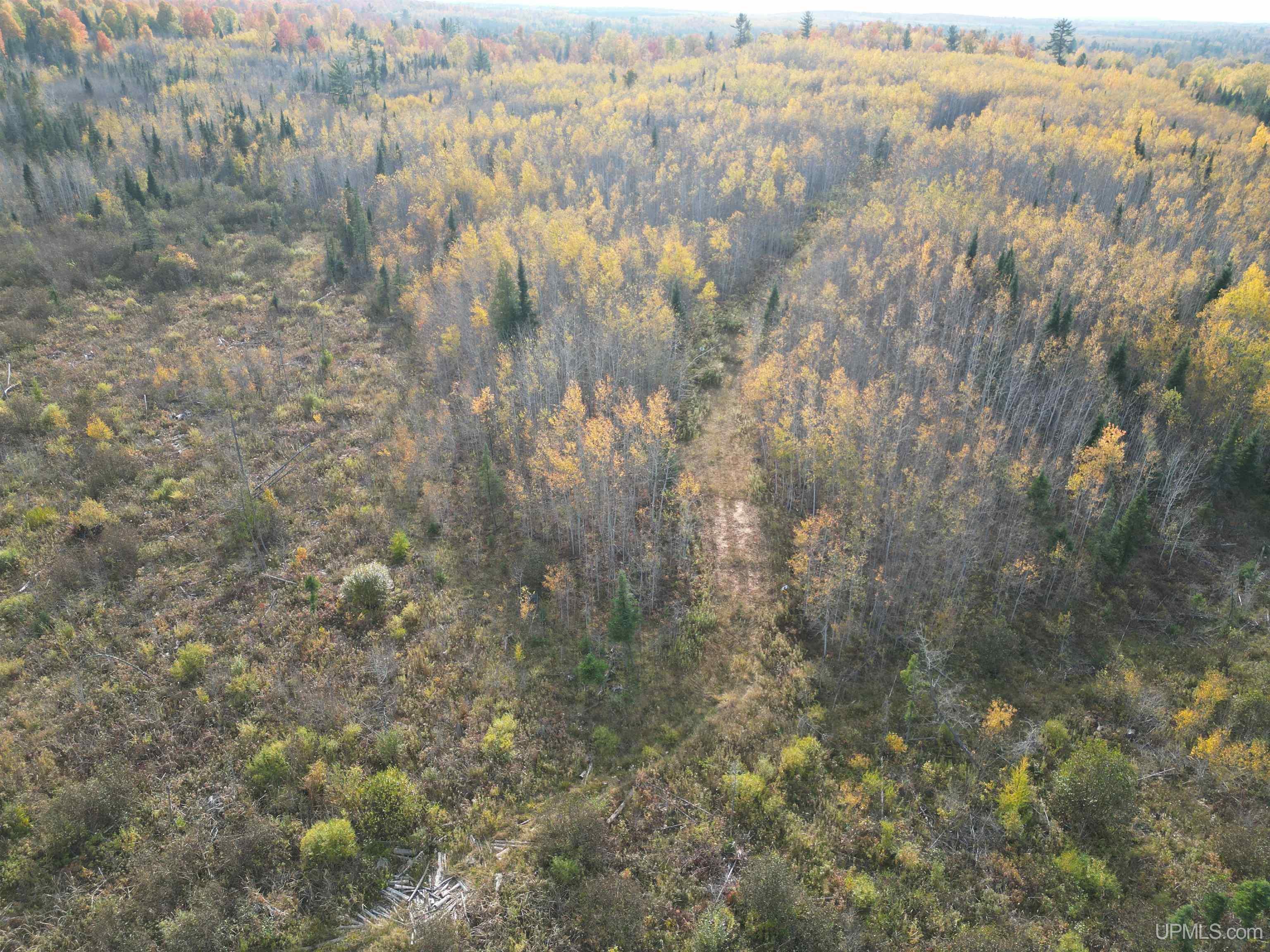 80 Rd Vulcan Mi 49892 Road Vulcan, MI 49892 - Photo 43 of 49 Gallery Image 43