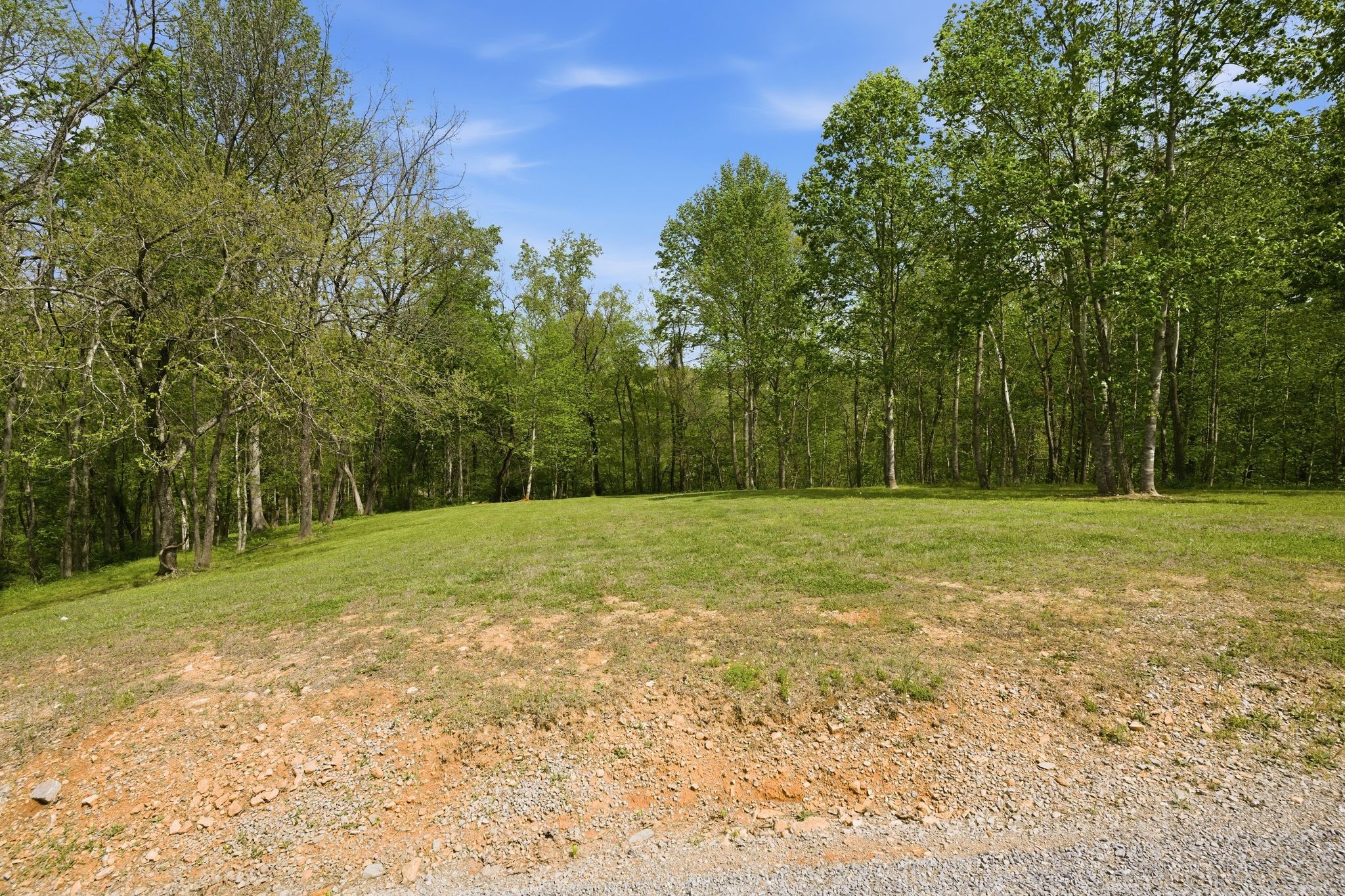1602 Errel Dowlen Road Pleasant View, TN 37146 - Photo 42 of 62
