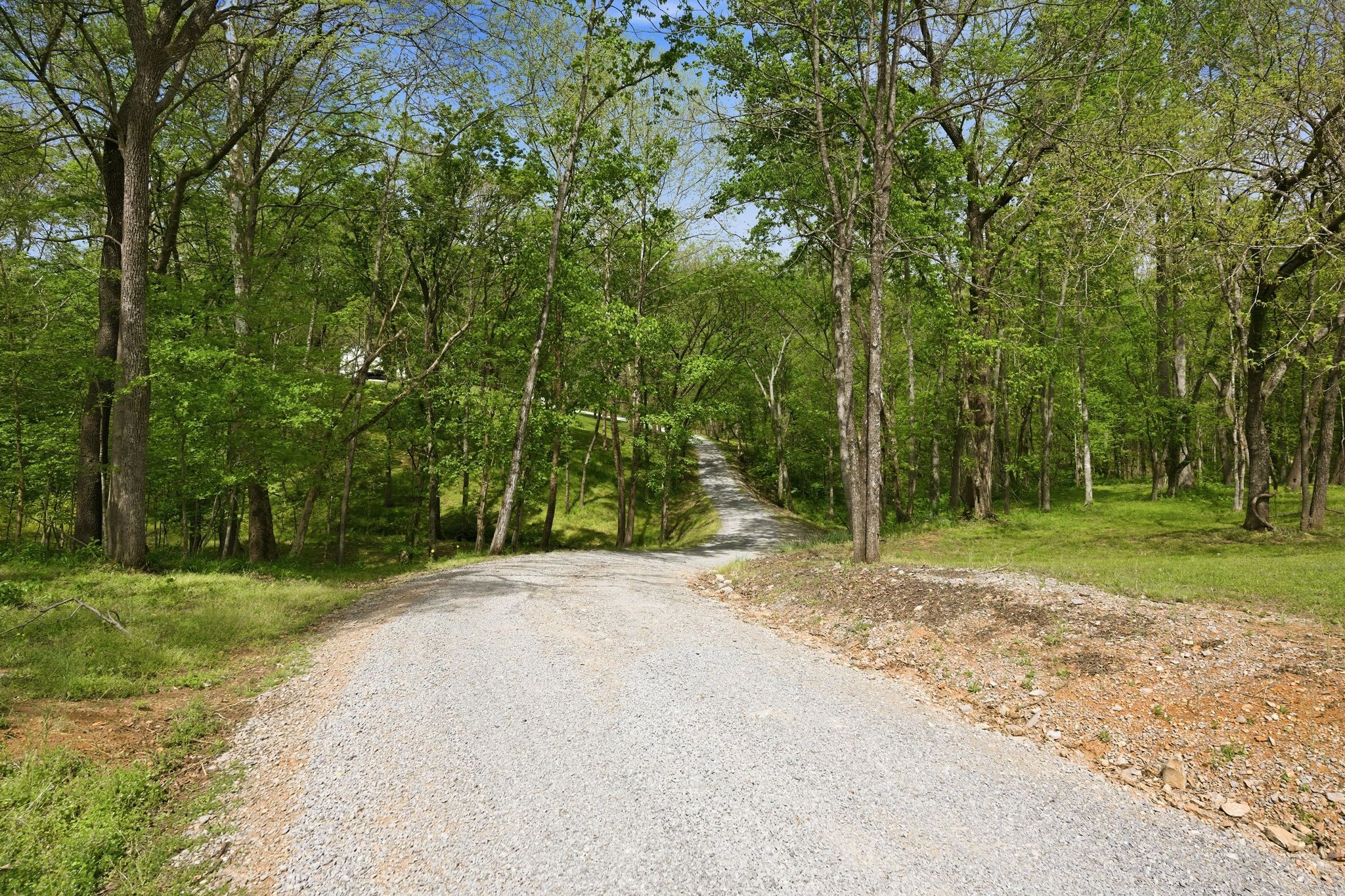 1602 Errel Dowlen Road Pleasant View, TN 37146 - Photo 43 of 62