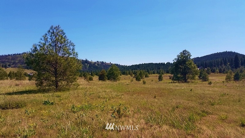 -lot B Hidden Valley Road Cle Elum, WA 98922 - Photo 2 of 23 Gallery Image 2