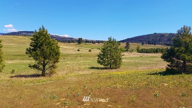 -lot B Hidden Valley Road Cle Elum, WA 98922 - Photo 11 of 23 Gallery Image 11