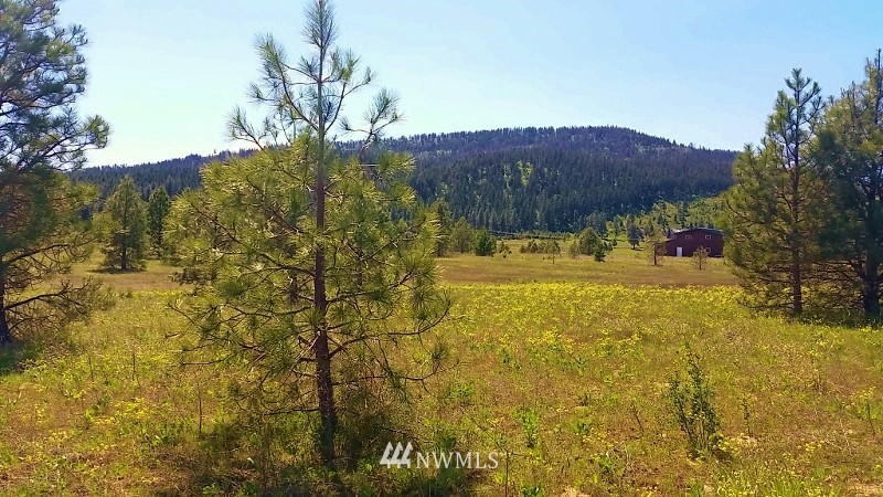 -lot B Hidden Valley Road Cle Elum, WA 98922 - Photo 12 of 23 Gallery Image 12
