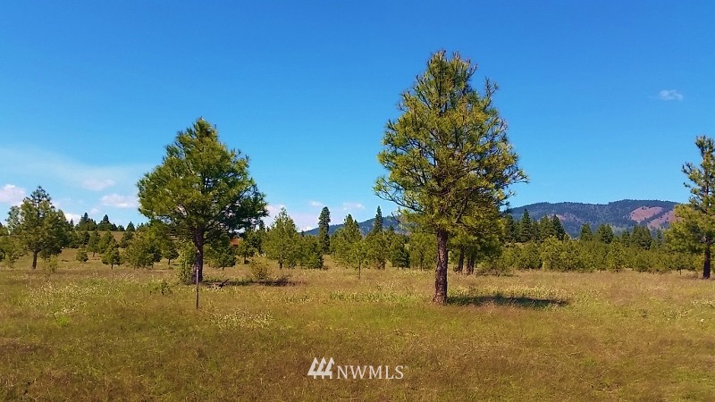-lot B Hidden Valley Road Cle Elum, WA 98922 - Photo 13 of 23 Gallery Image 13