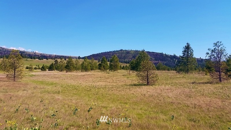 -lot B Hidden Valley Road Cle Elum, WA 98922 - Photo 15 of 23 Gallery Image 15