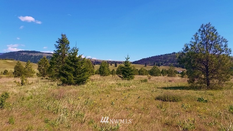 -lot B Hidden Valley Road Cle Elum, WA 98922 - Photo 17 of 23 Gallery Image 17