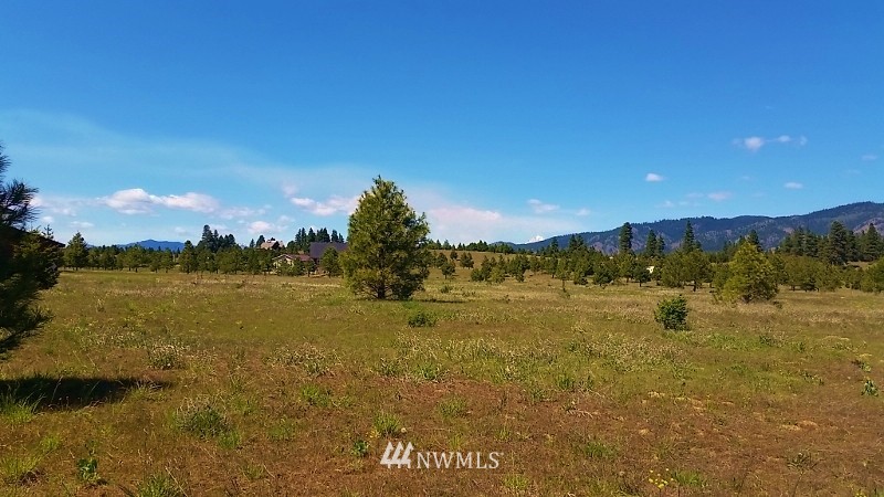 -lot B Hidden Valley Road Cle Elum, WA 98922 - Photo 19 of 23 Gallery Image 19