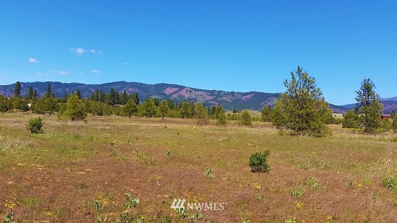 -lot B Hidden Valley Road Cle Elum, WA 98922 - Photo 20 of 23 Gallery Image 20