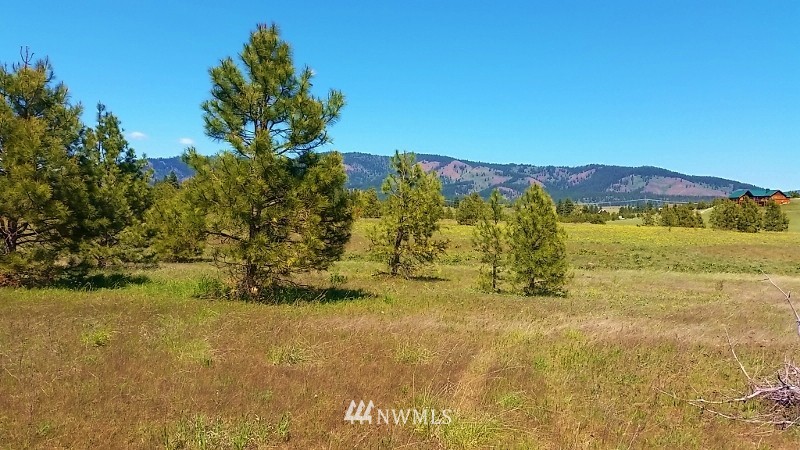 -lot B Hidden Valley Road Cle Elum, WA 98922 - Photo 3 of 23 Gallery Image 3