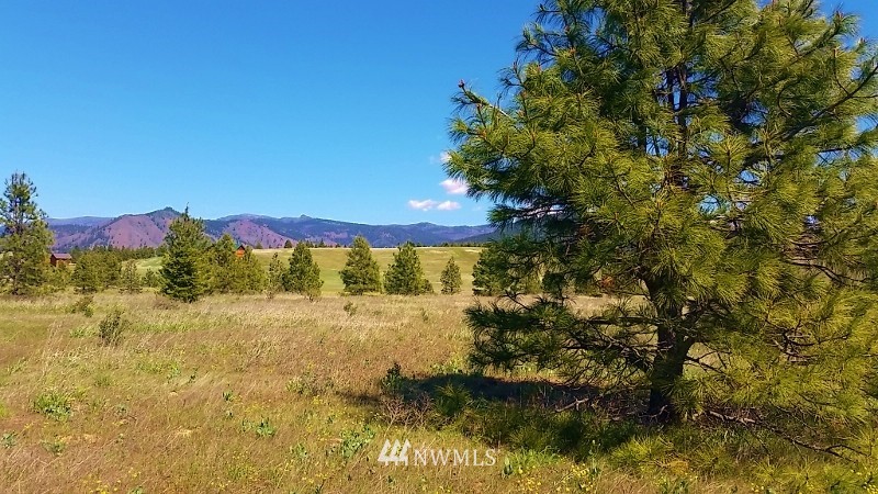 -lot B Hidden Valley Road Cle Elum, WA 98922 - Photo 21 of 23 Gallery Image 21