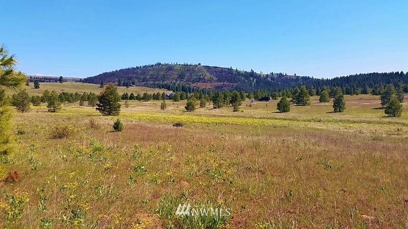 -lot B Hidden Valley Road Cle Elum, WA 98922 - Photo 22 of 23 Gallery Image 22
