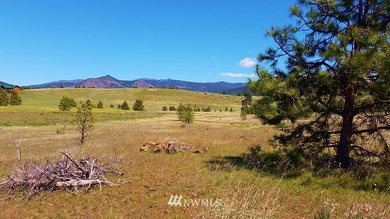 -lot B Hidden Valley Road Cle Elum, WA 98922 - Photo 4 of 23 Gallery Image 4