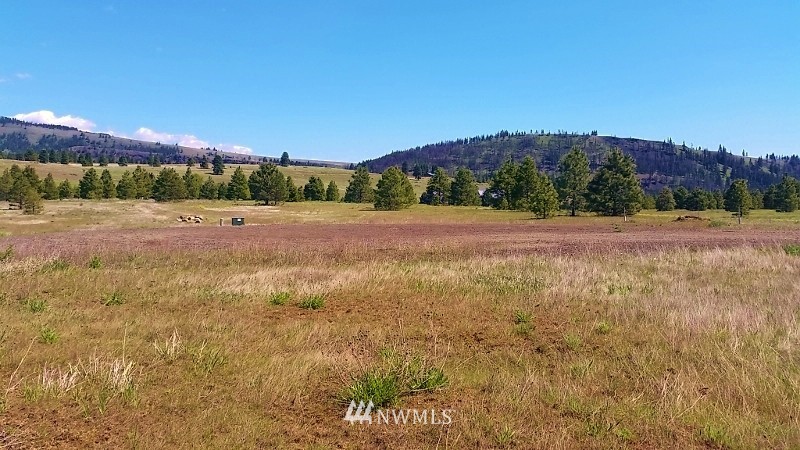 -lot B Hidden Valley Road Cle Elum, WA 98922 - Photo 6 of 23 Gallery Image 6