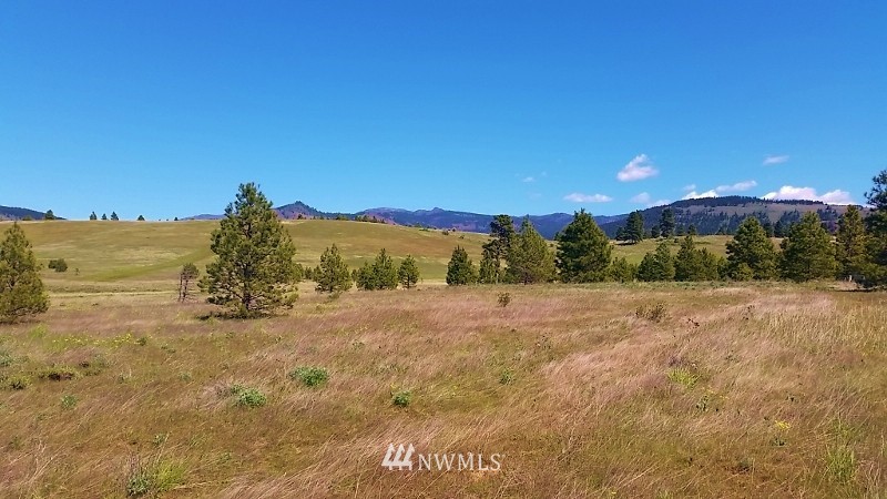 -lot B Hidden Valley Road Cle Elum, WA 98922 - Photo 7 of 23 Gallery Image 7