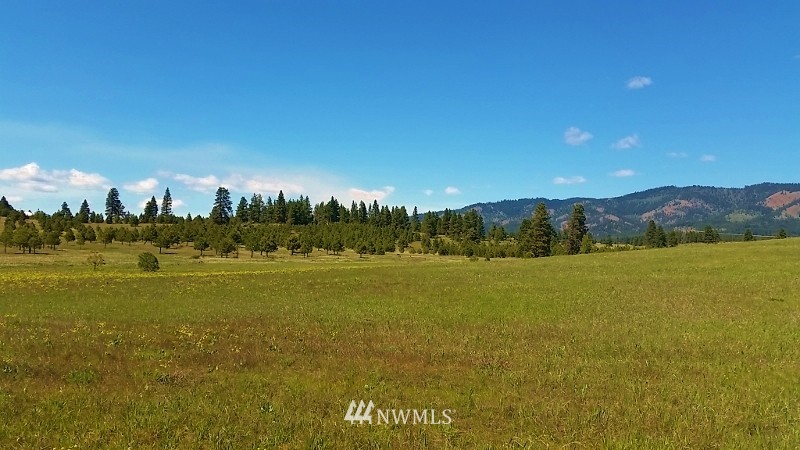-lot B Hidden Valley Road Cle Elum, WA 98922 - Photo 9 of 23 Gallery Image 9
