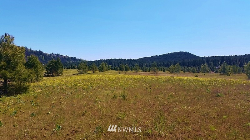 -lot B Hidden Valley Road Cle Elum, WA 98922 - Photo 10 of 23 Gallery Image 10