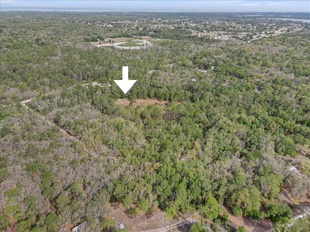 17528 Coyote Road Hudson, FL 34667 - Photo 41 of 60