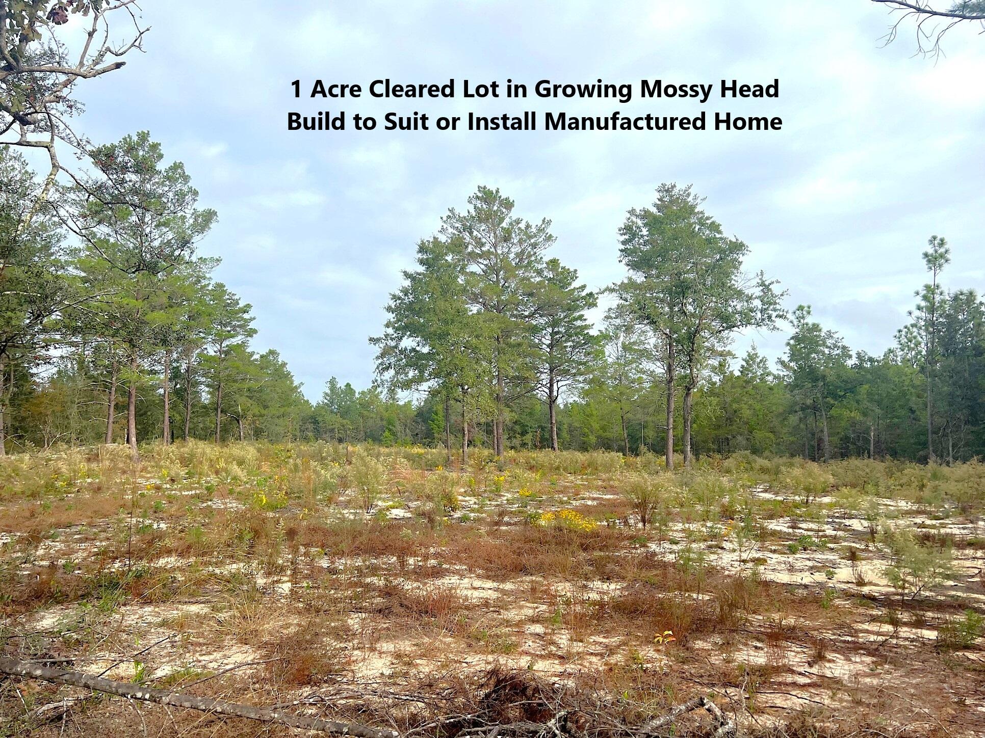 1-ac Round Table Road DeFuniak Springs, FL 32433 - Photo 1 of 7 IMG_3858