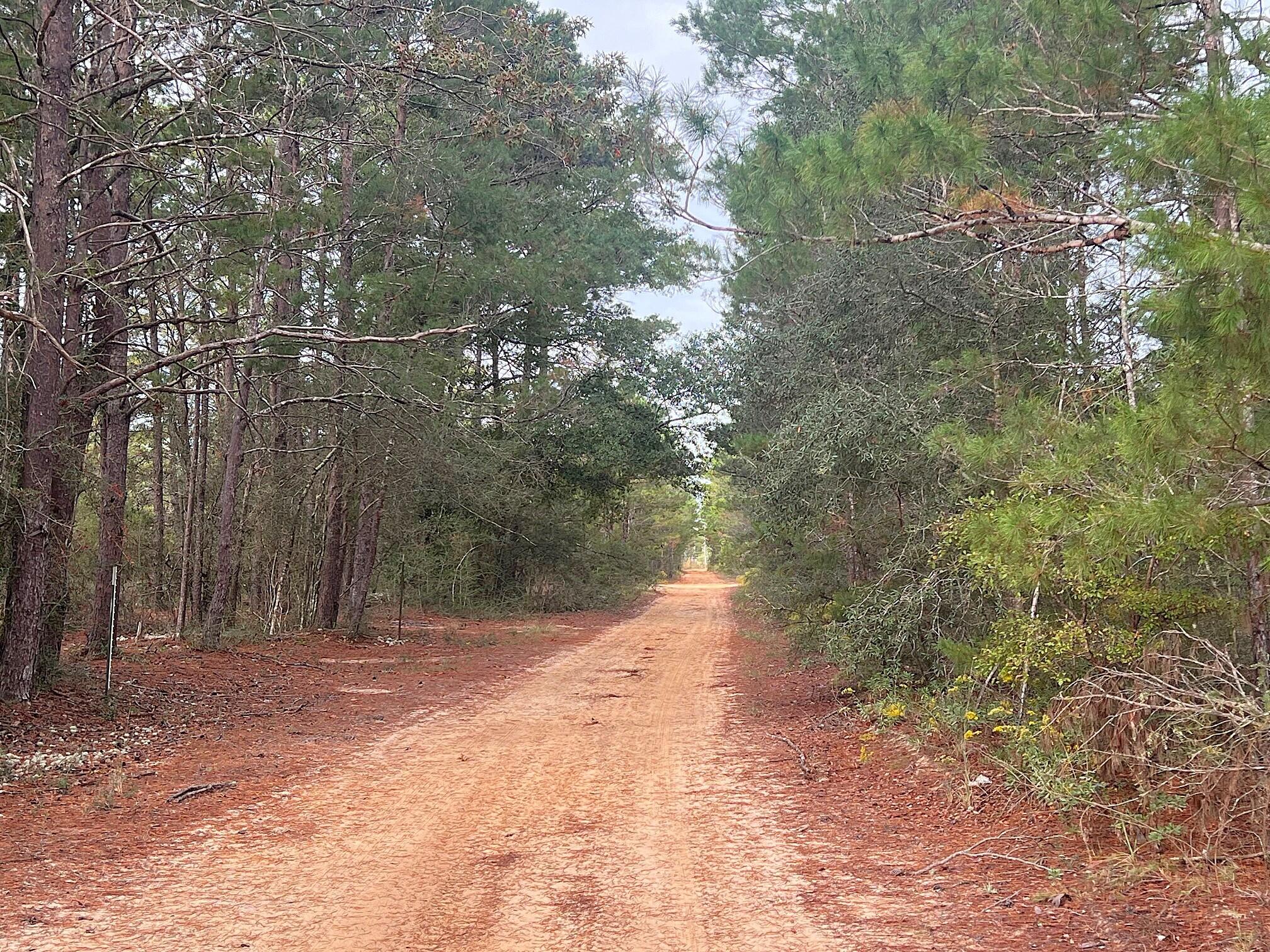1-ac Round Table Road DeFuniak Springs, FL 32433 - Photo 6 of 7 IMG_3862