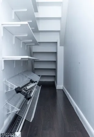 a view of a hallway with wooden floor and a potted plant
