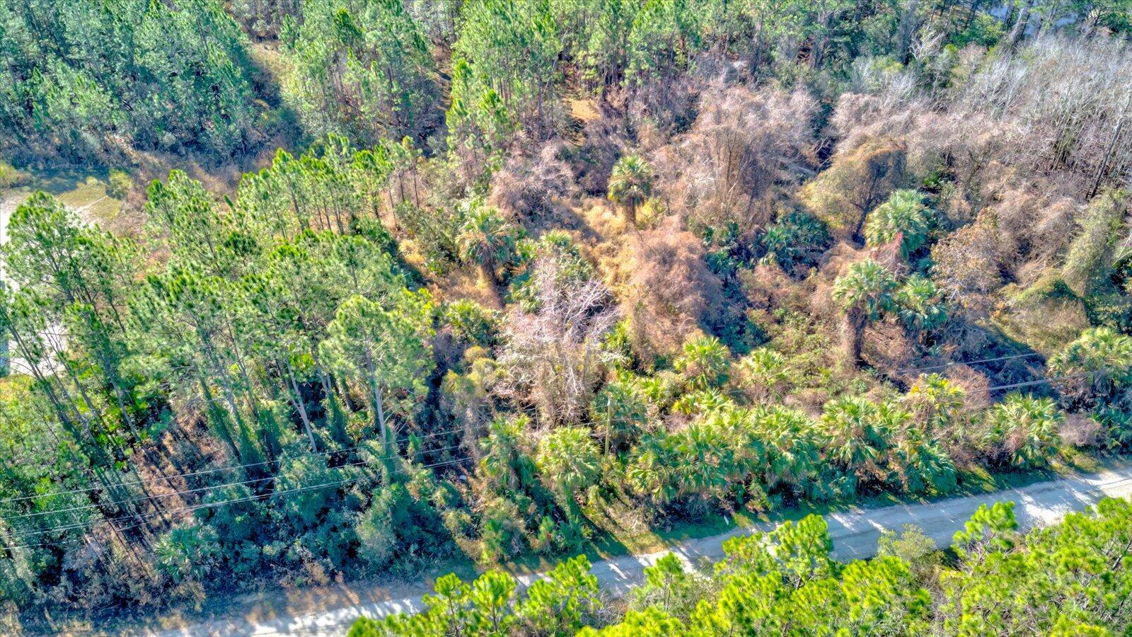 0 Rodeo Acres Drive Ormond Beach, FL 32174 - Photo 20 of 20 a backyard of a house with lots of green space