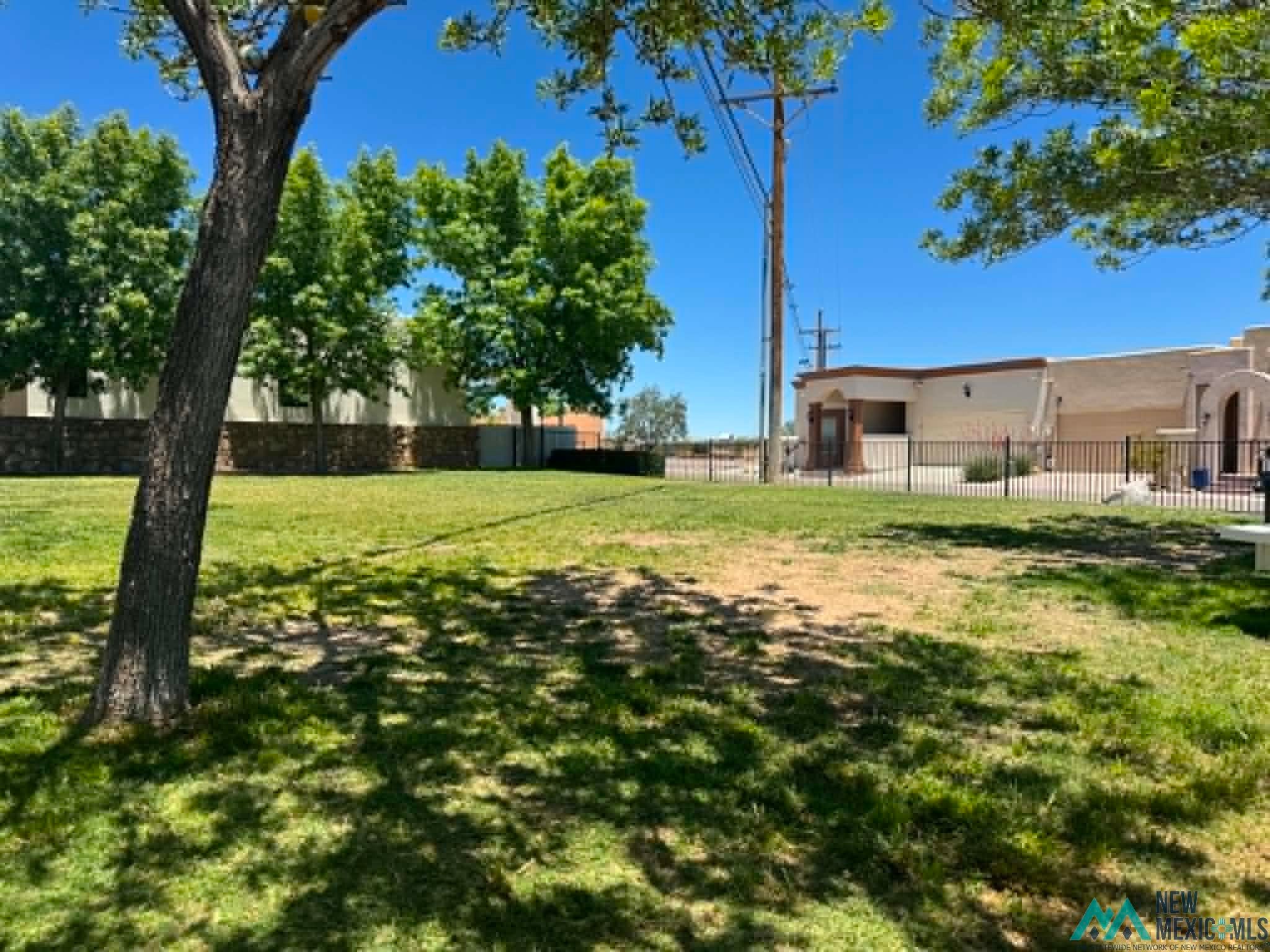 3884 Adriatic Road Las Cruces, NM 88012 - Photo 45 of 45 Expansive grassy area with mature trees providing partial shade