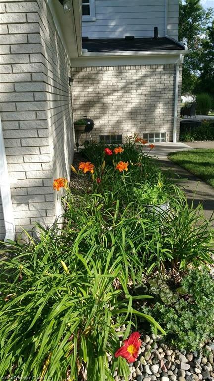 25263 Branchaster Road Farmington Hills, MI 48336 - Photo 28 of 30