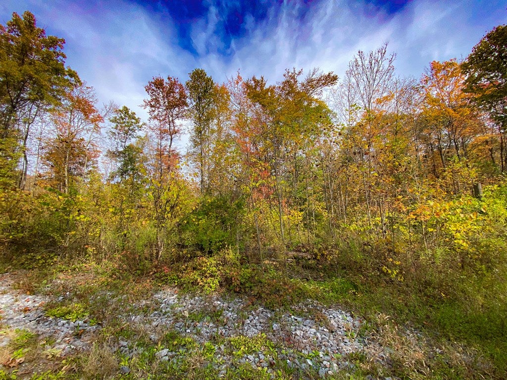 0 Nebo Road Mount Union, PA 17260 - Photo 3 of 13 Gallery Image 3