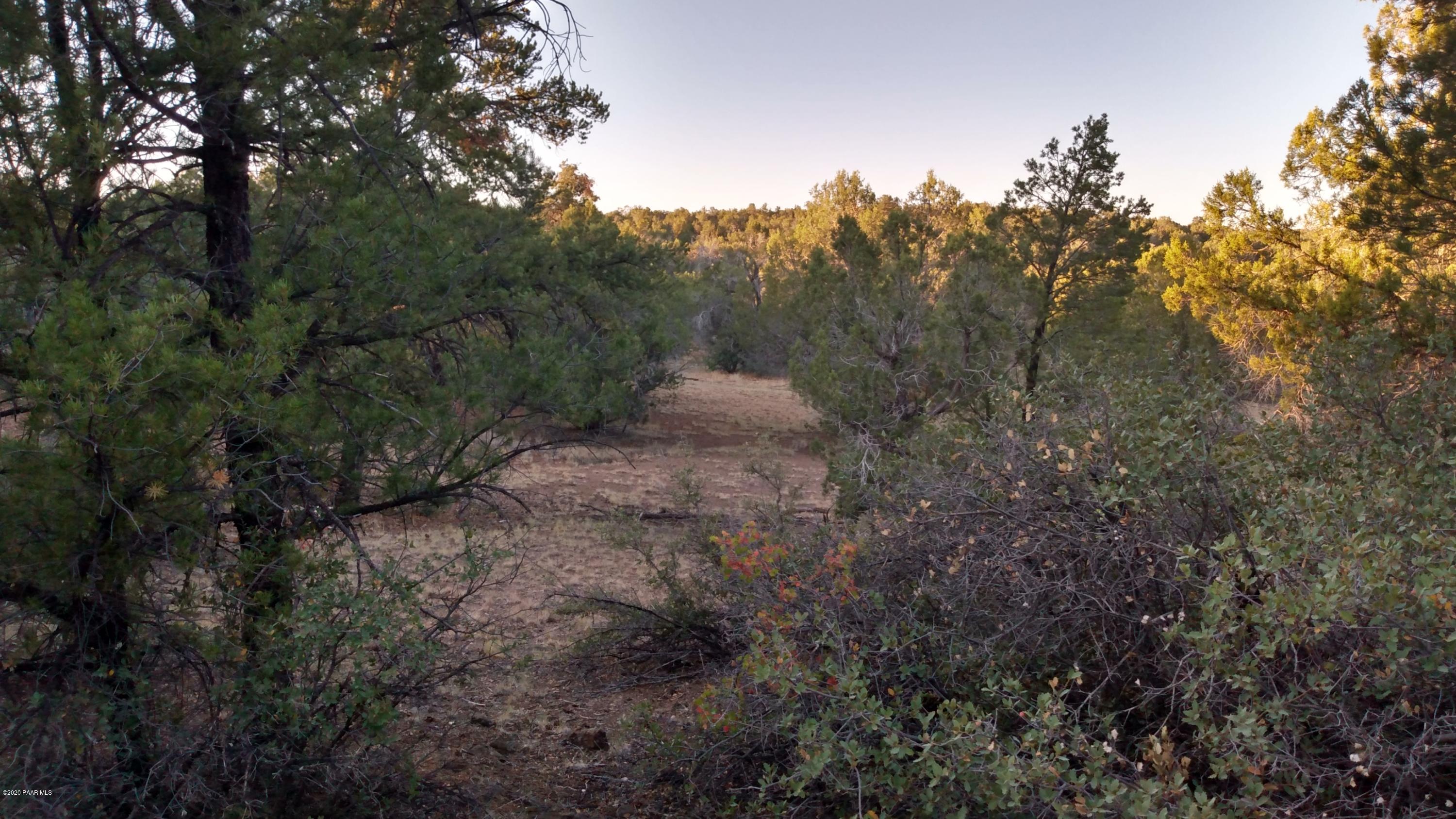 Lot 89 Ricks Road Seligman, AZ 86337 - Photo 11 of 14 S. Property Line N View