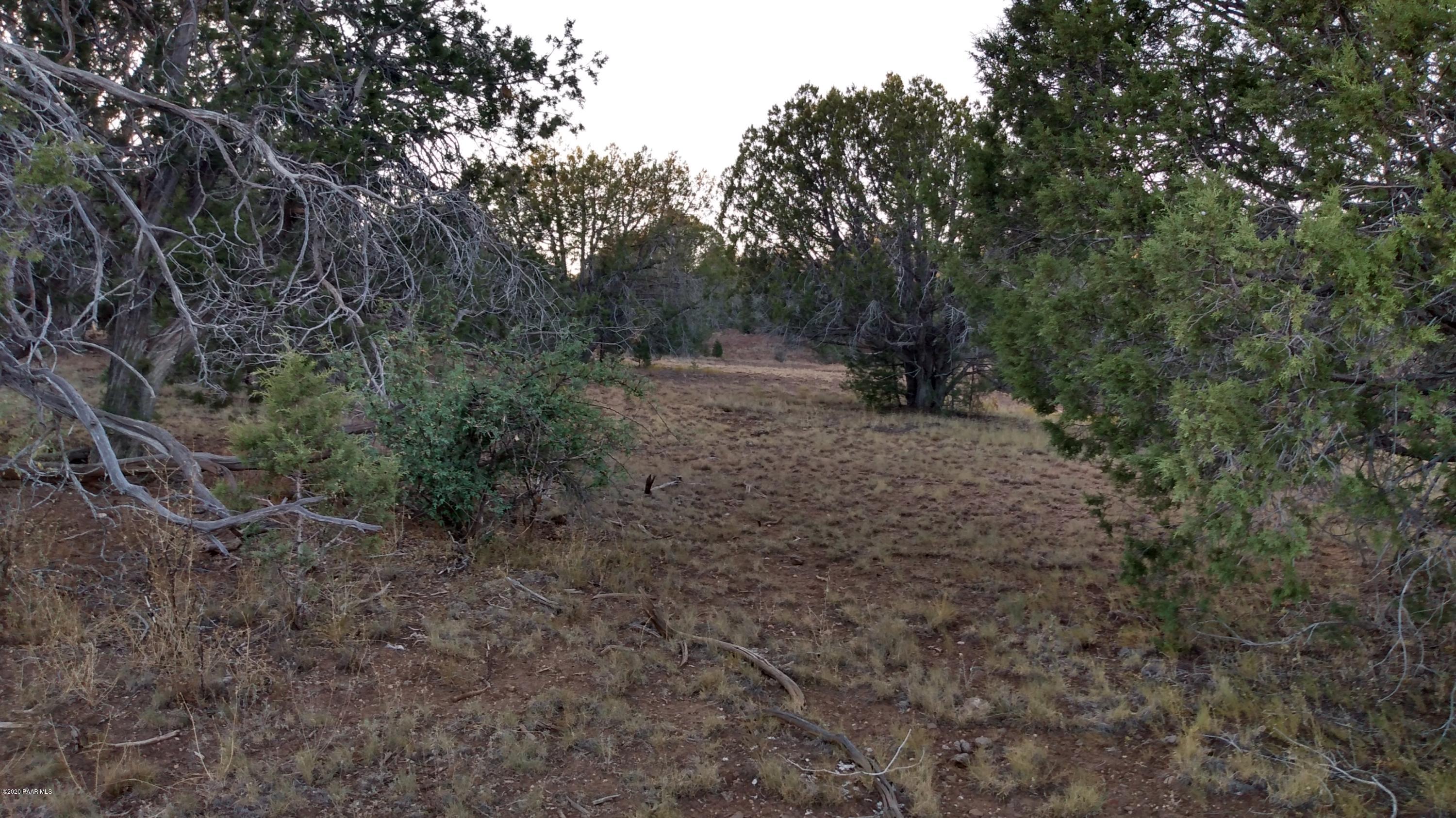 Lot 89 Ricks Road Seligman, AZ 86337 - Photo 14 of 14 WS Property Corner