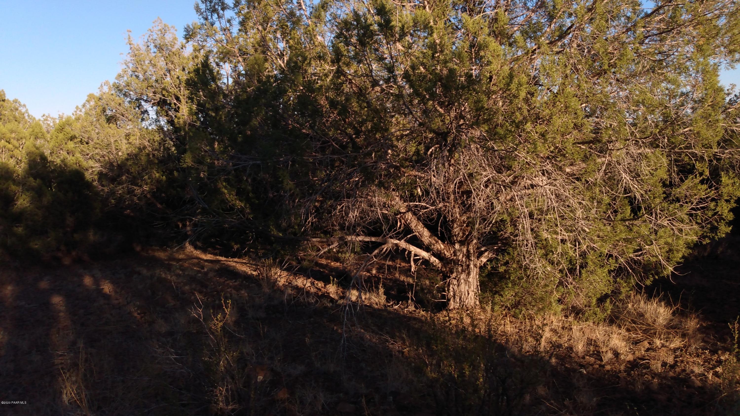 Lot 89 Ricks Road Seligman, AZ 86337 - Photo 4 of 14 mid property