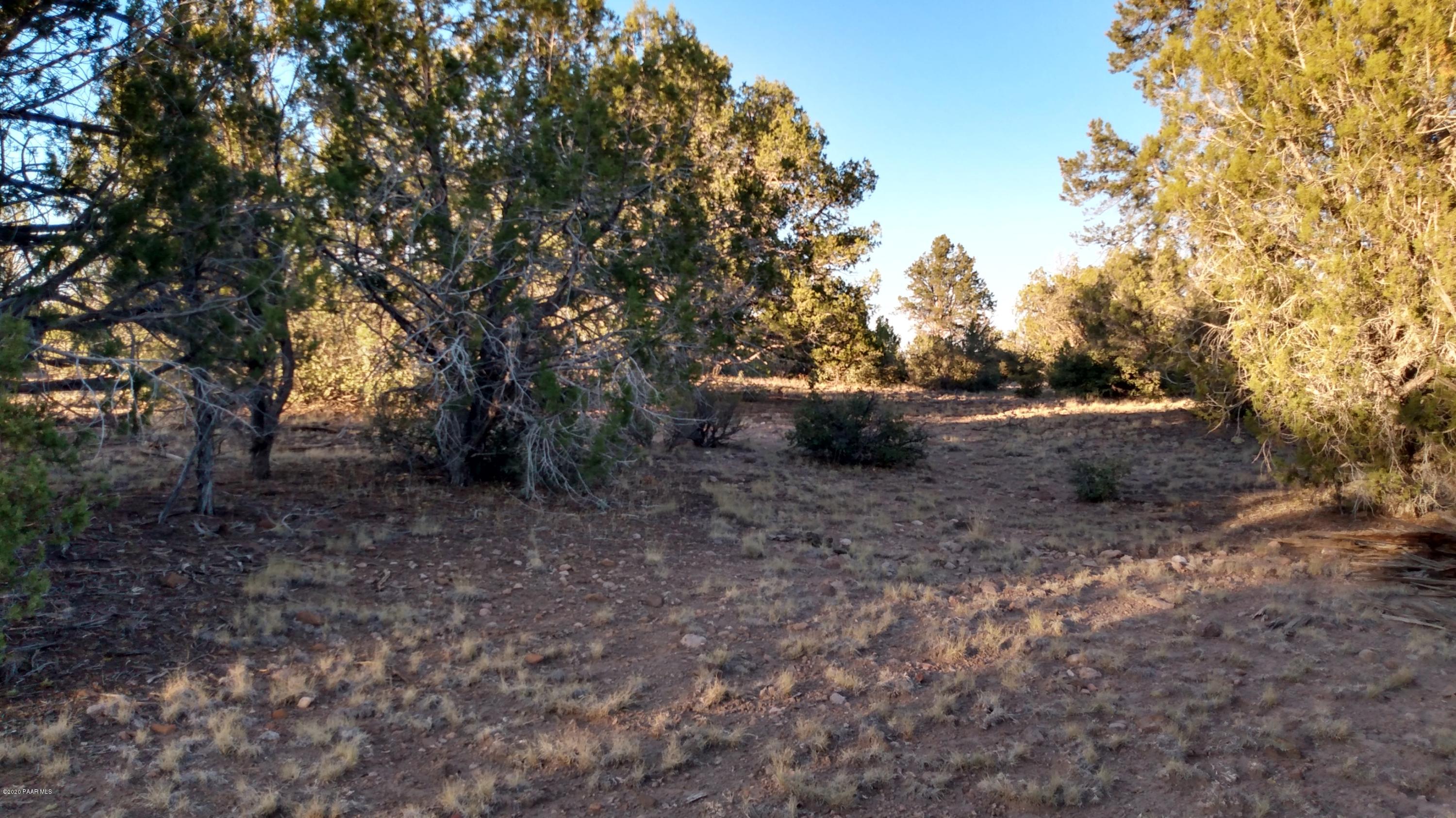 Lot 89 Ricks Road Seligman, AZ 86337 - Photo 5 of 14 mid property W view