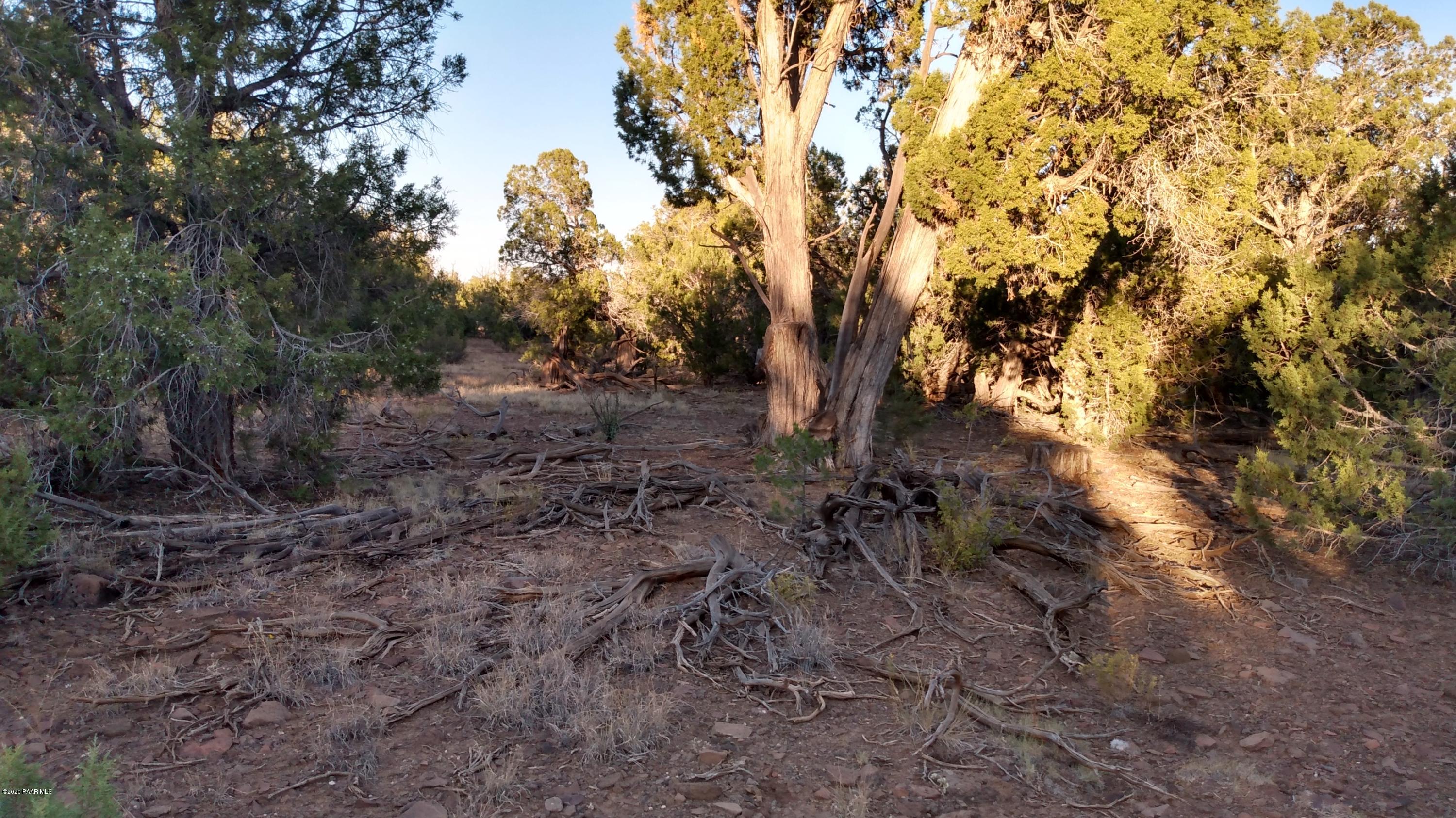 Lot 89 Ricks Road Seligman, AZ 86337 - Photo 6 of 14 mid property 2